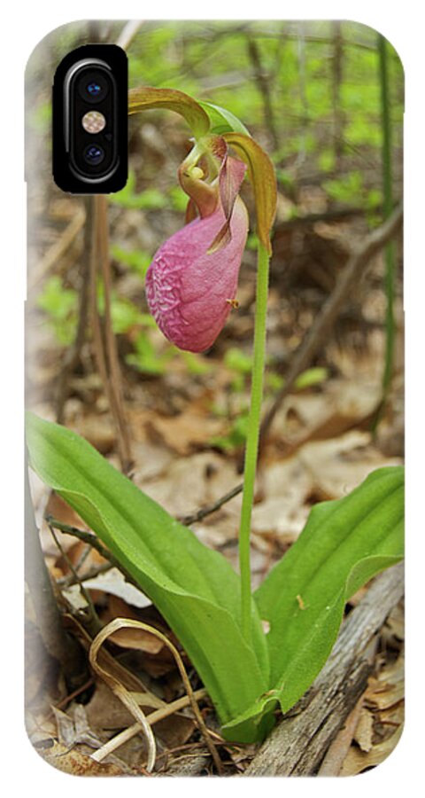 Orchid iPhone X Case featuring the photograph Lady Slipper 2037 by Michael Peychich