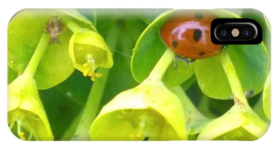 Plants iPhone X Case featuring the photograph #ladybug Found Some Shelter From The by Shari Warren