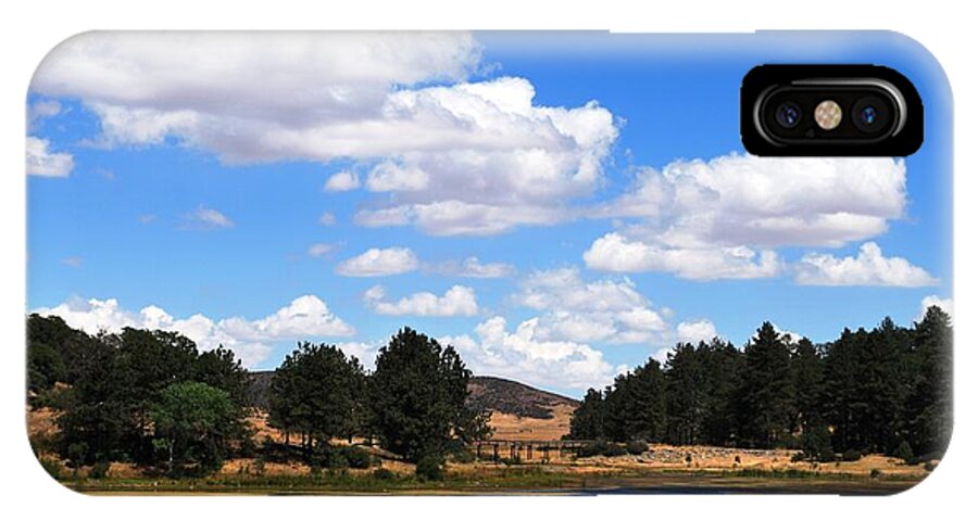 Tree iPhone X Case featuring the photograph Lake Cuyamac Landscape and Clouds by Matt Quest