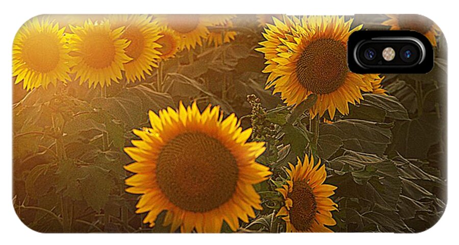 Gold Flowers iPhone X Case featuring the photograph Late Afternoon Golden Glow by Karen McKenzie McAdoo