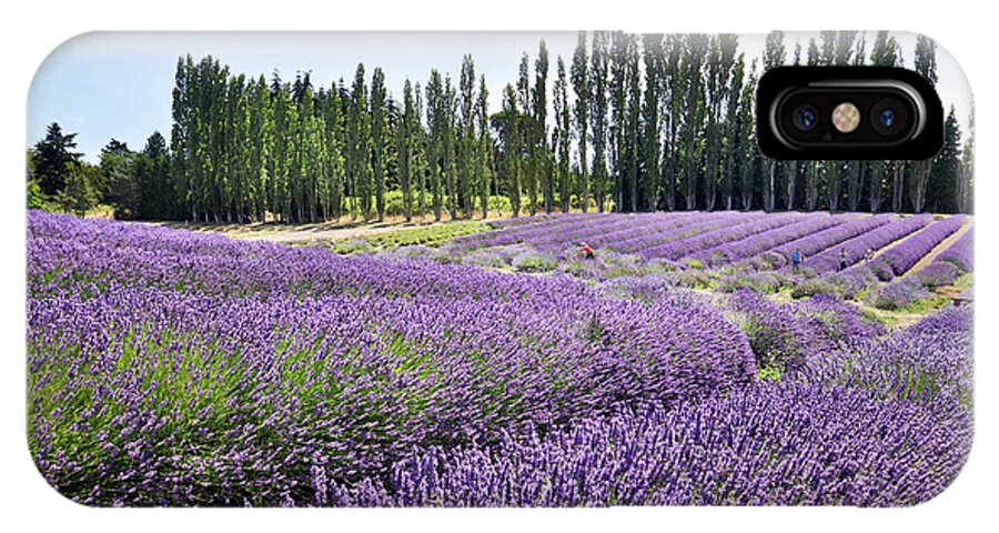 Lavender iPhone X Case featuring the photograph Lavender Hills by Martin Konopacki