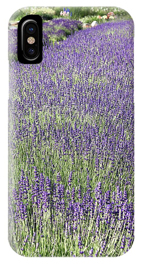 Lavender iPhone X Case featuring the photograph Lavender by Rod Best