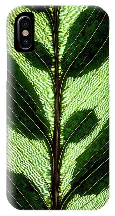 Macro iPhone X Case featuring the photograph Leaf Detail by Christopher Johnson