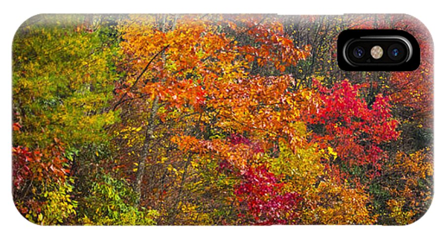 Fall Foliage iPhone X Case featuring the photograph Leaf Tapestry by Rob Hemphill