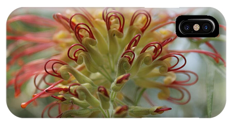 Floral iPhone X Case featuring the photograph Like Stems of a cherry by Shelley Jones