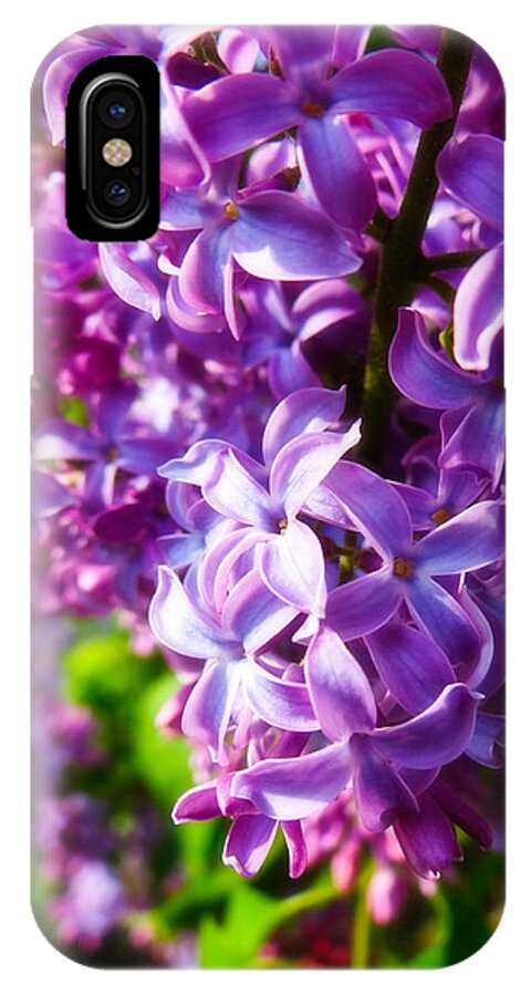 Lilac iPhone X Case featuring the photograph Lilac in the Sun by Julia Wilcox