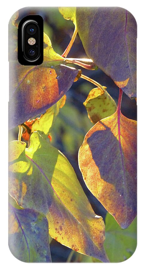 Lilacs iPhone X Case featuring the photograph Lilac Leaves by Cris Fulton