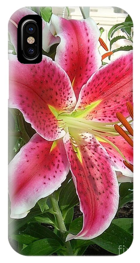 Flower iPhone X Case featuring the painting LiliRosa by Alex Blaha