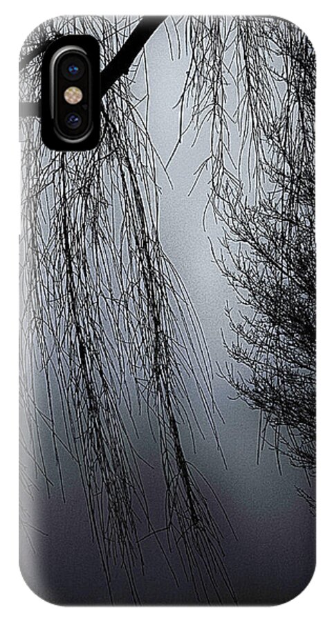 Trees iPhone X Case featuring the photograph Limbs by Mark Mcchesney