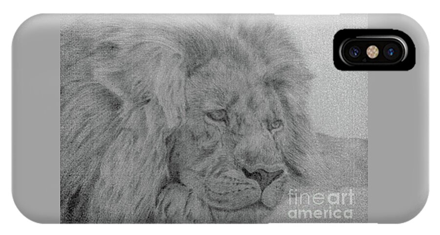 Lion Wild Cat Animals Pencil Paper iPhone X Case featuring the drawing Lion by Nadi Sabirova