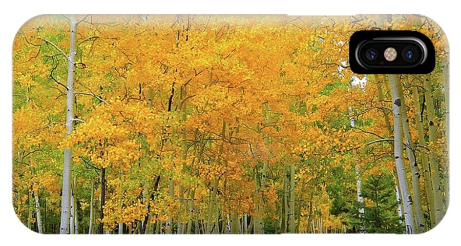 Fall iPhone X Case featuring the photograph Lockett Meadow A moment in time by Broderick Delaney