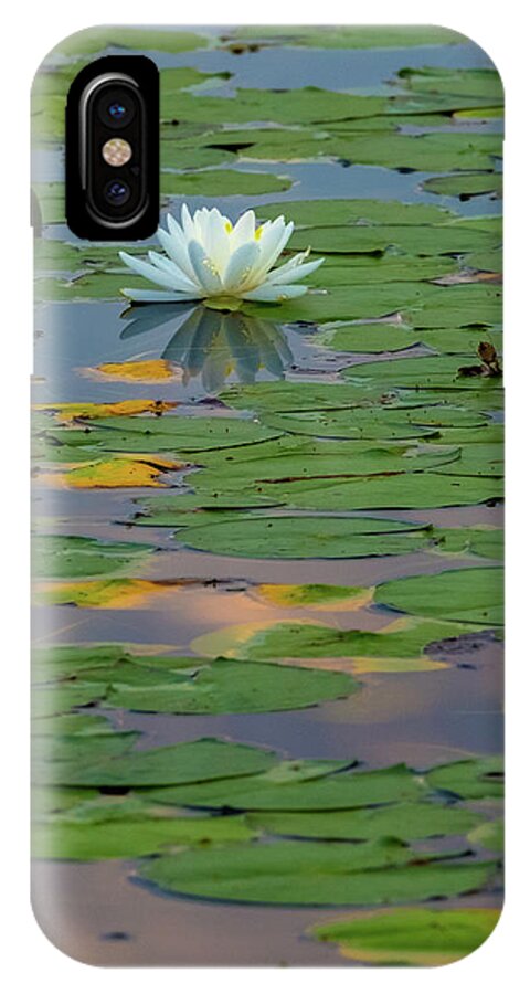 Water Lily iPhone X Case featuring the photograph Lone Lilly by Bill Wakeley