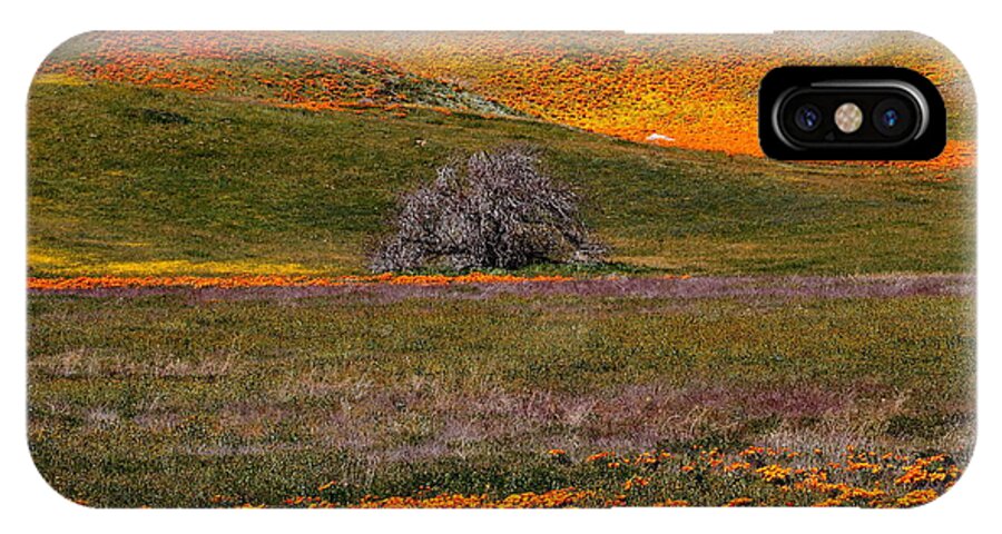 Flower iPhone X Case featuring the photograph Lone tree in a sea of orange and yellow by Jetson Nguyen