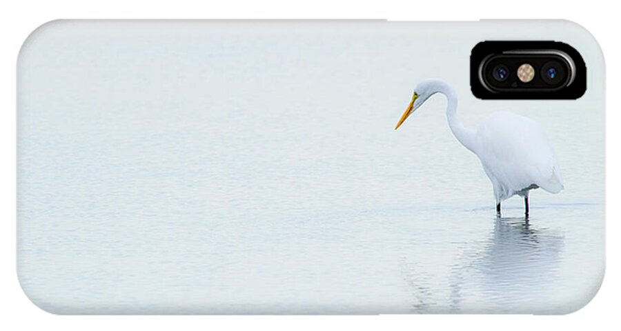 Animal iPhone X Case featuring the photograph Lonely Egret by Karol Livote
