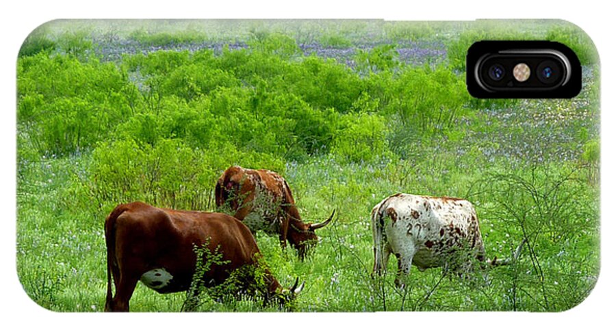 Nature iPhone X Case featuring the photograph Longhorns - Grazing In The Wilds by Lucyna A M Green