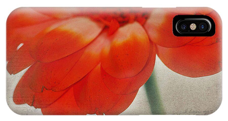 Orange iPhone X Case featuring the photograph Look Inside by Rebecca Cozart