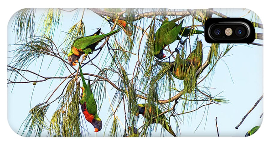 2017 iPhone X Case featuring the photograph Lorikeets swarming from tree to tree by Andrew Michael