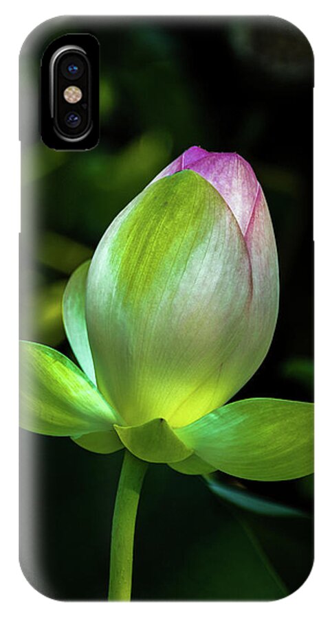 Jay Stockhaus iPhone X Case featuring the photograph Lotus Blossom by Jay Stockhaus