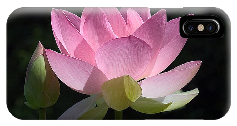 : iPhone X Case featuring the photograph Lotus Bud--Snuggle Bud DL005 by Gerry Gantt