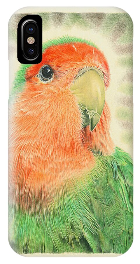Lovebird iPhone X Case featuring the drawing Lovebird Pilaf by Casey 'Remrov' Vormer