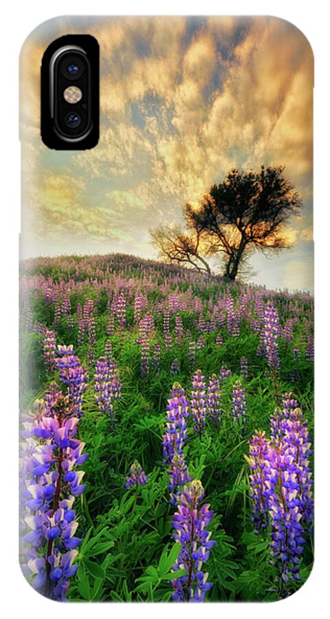 California iPhone X Case featuring the photograph Lupine on Lupine by Nicki Frates