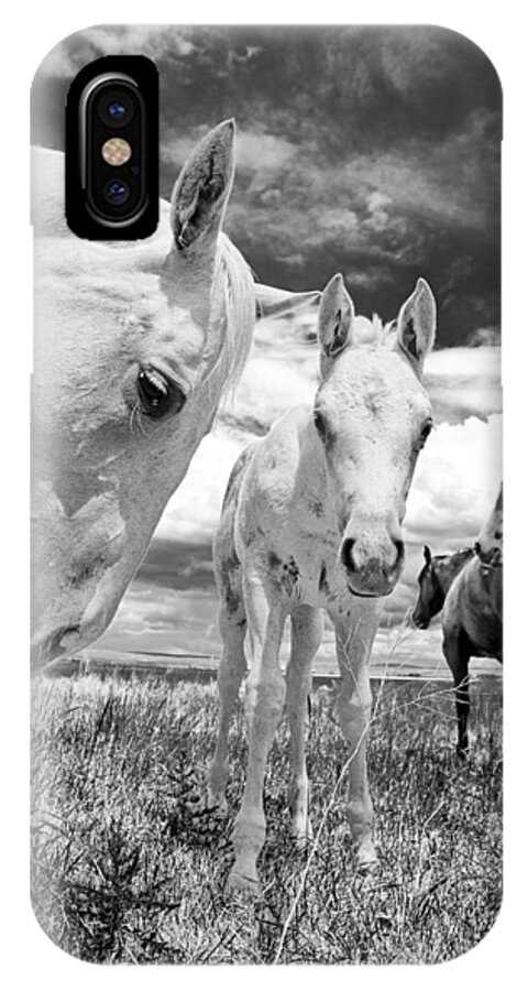 Oregon iPhone X Case featuring the photograph Mare with Colt by Charles Frates