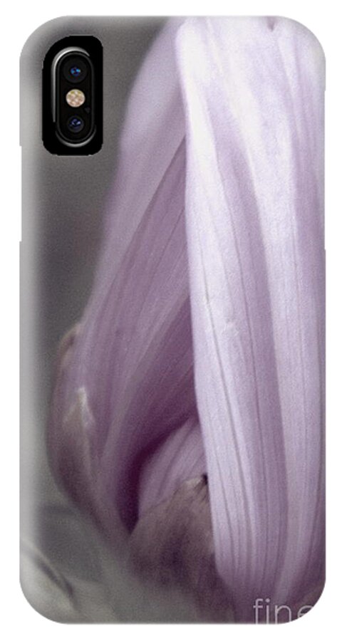 Flower iPhone X Case featuring the photograph Mauve by Elfriede Fulda