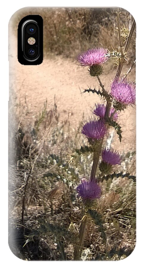 Desert iPhone X Case featuring the photograph Meaner Than They Look by Claudia Goodell