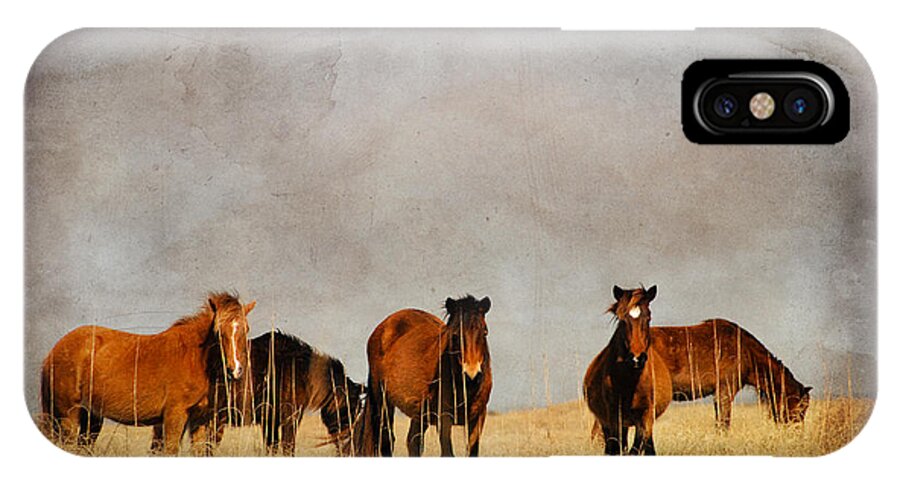Farm iPhone X Case featuring the photograph Meeting by Joye Ardyn Durham