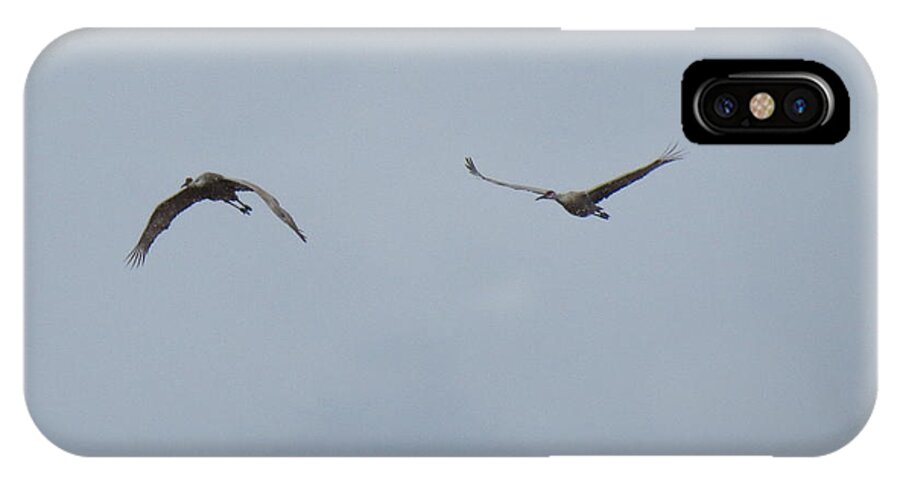 Cranes iPhone X Case featuring the photograph Memory by Azthet Photography