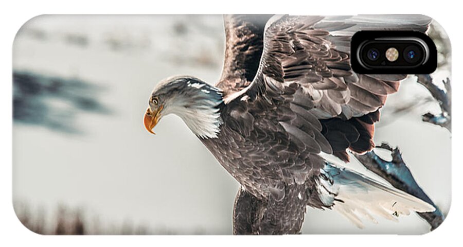 America iPhone X Case featuring the photograph Metallic Bald Eagle by Art Atkins