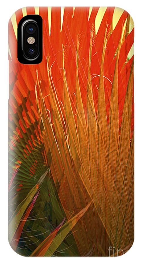 Mexican Palm iPhone X Case featuring the photograph Mexican Palm by Gwyn Newcombe