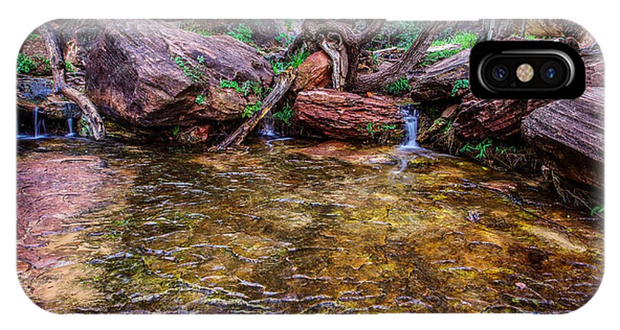 Adventure iPhone X Case featuring the photograph Middle Emerald Pools Zion National Park by Scott McGuire