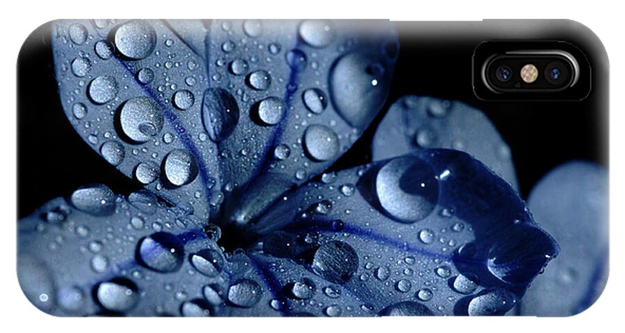 Blue iPhone X Case featuring the photograph Midnight Dew by Donna Blackhall