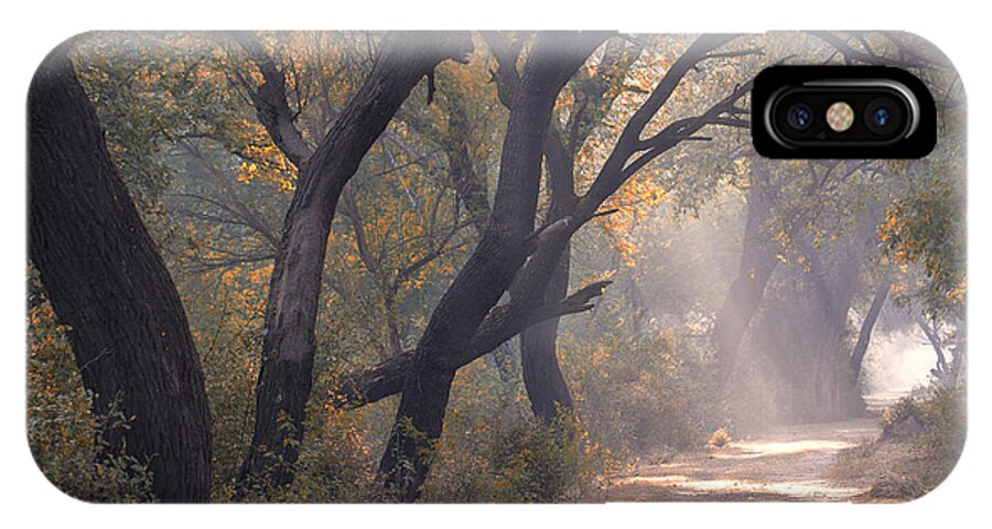 Mist iPhone X Case featuring the photograph Misty morning, Bharatpur, 2005 by Hitendra SINKAR