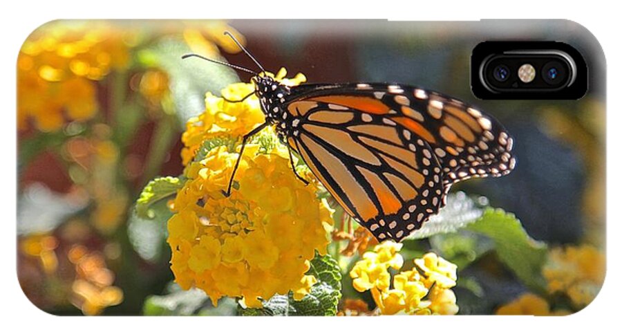 Monarch iPhone X Case featuring the photograph Monarch Butterfly on Lantana by Liz Vernand