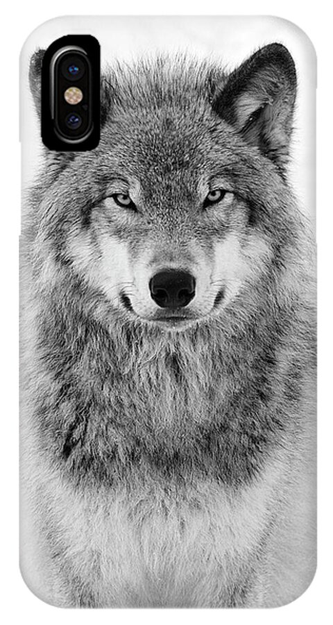 #faatoppicks iPhone X Case featuring the photograph Monotone Timber Wolf by Tony Beck