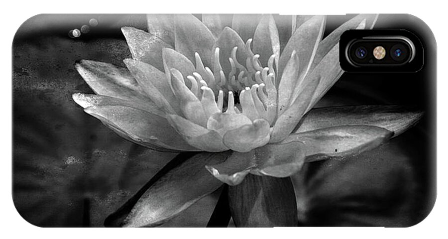 Water Lily iPhone X Case featuring the mixed media Moonlit Water Lily BW by Lesa Fine