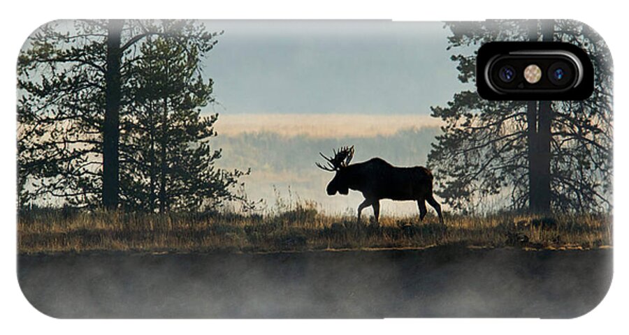 Moose iPhone X Case featuring the photograph Moose Surprise by Shari Sommerfeld