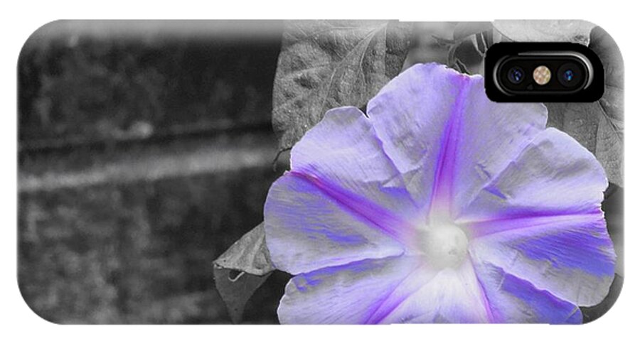 Morning Glory Flower iPhone X Case featuring the photograph Morning Glory Flower by Chad and Stacey Hall