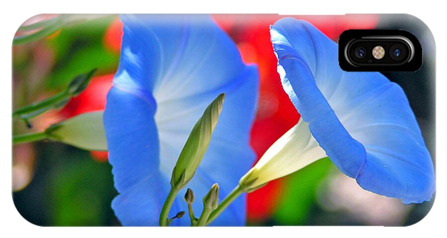 Flowers Morning Glory Red White And Blue Garden iPhone X Case featuring the photograph Morning glory by George Tuffy