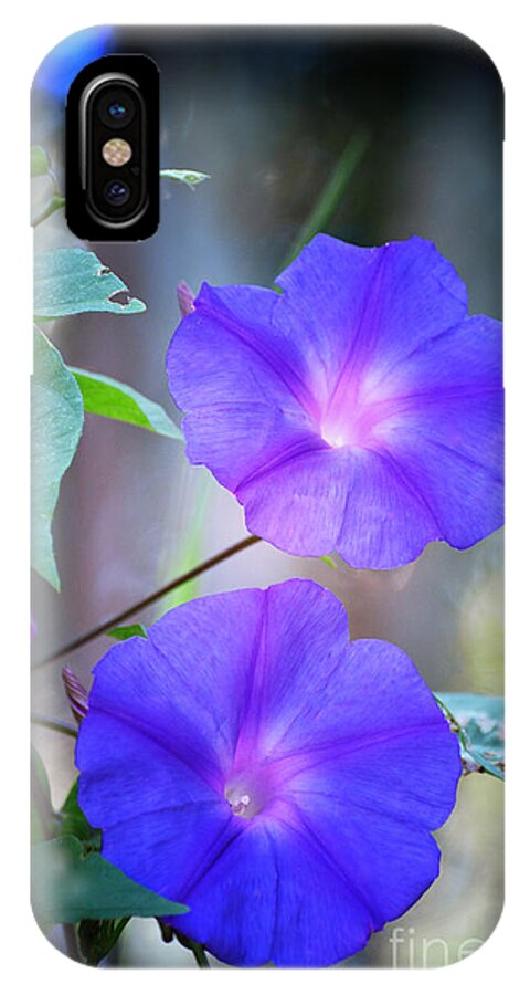 Flowers iPhone X Case featuring the photograph Morning Glory by Kathy Baccari