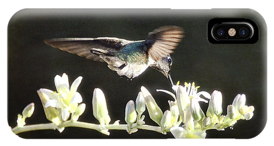 Hummingbirds iPhone X Case featuring the photograph Morning Nectar Flyby by Saija Lehtonen