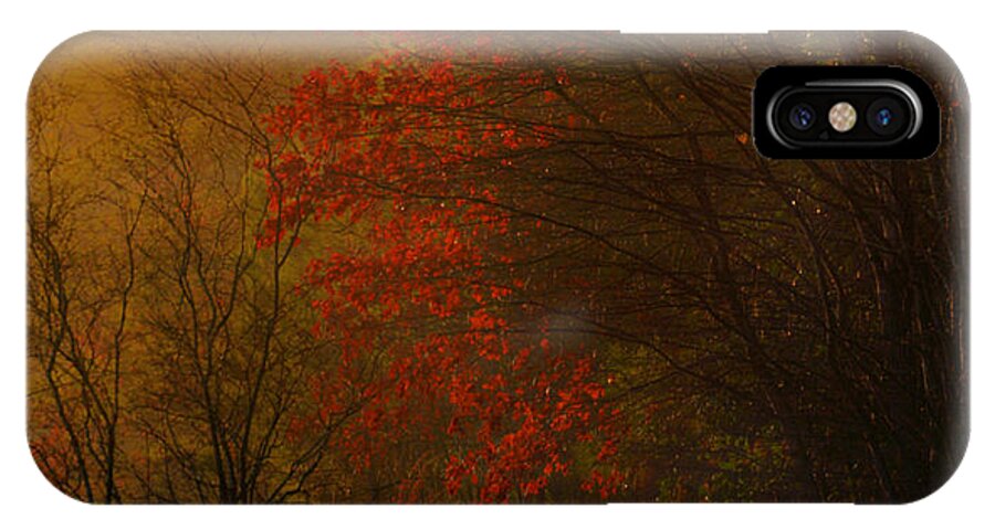 Adrian-deleon iPhone X Case featuring the photograph Morning sunrise with fog touching the tree tops in Georgia. by Adrian De Leon Art and Photography
