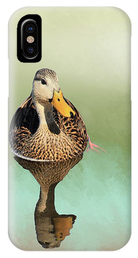 Duck iPhone X Case featuring the mixed media Mottled Duck Reflection by Rosalie Scanlon