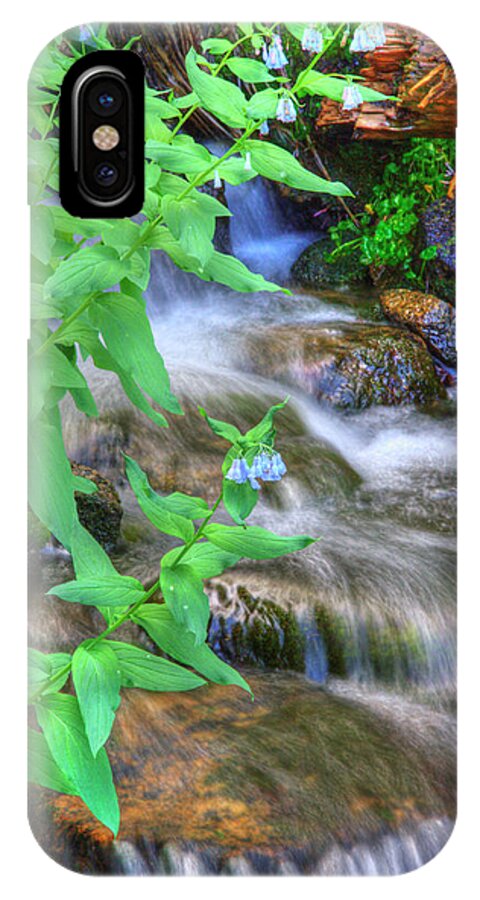 Mountain Bluebell iPhone X Case featuring the photograph Mounain Bluebells by Douglas Pulsipher