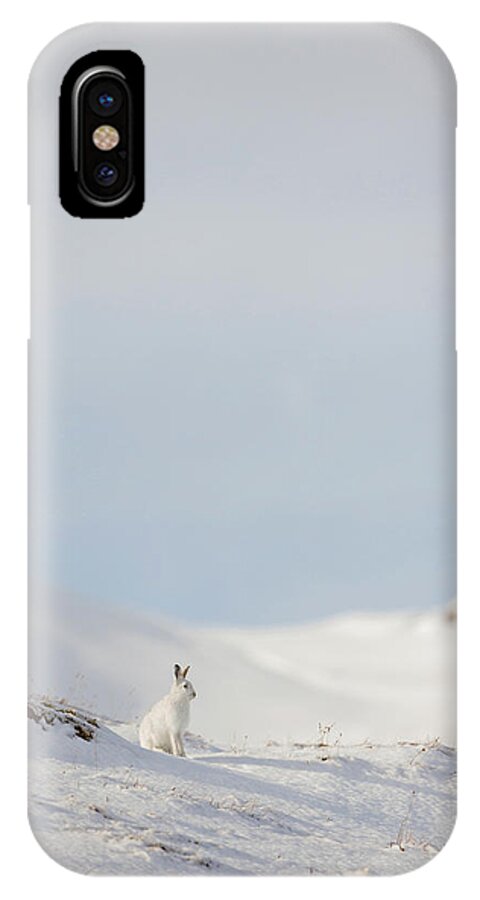 Mountain iPhone X Case featuring the photograph Mountain Hare On Hillside by Pete Walkden