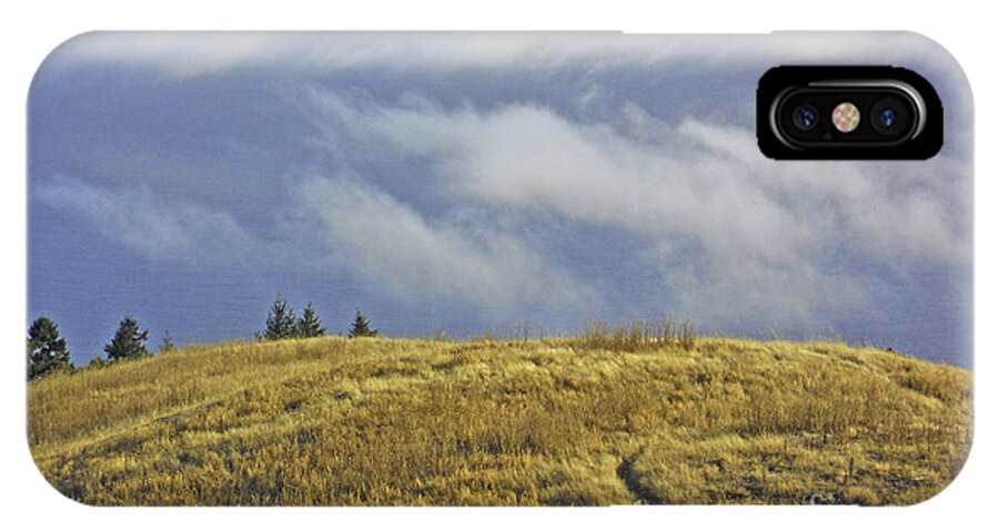 Mt. Tamalpais iPhone X Case featuring the photograph Mountain High by Joyce Creswell