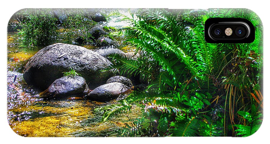 Mountain Stream iPhone X Case featuring the photograph Mountain Stream by Blair Stuart