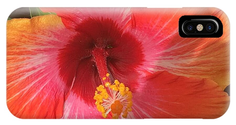 Hibiscus iPhone X Case featuring the photograph Multi-Colored Beauty by Val Oconnor